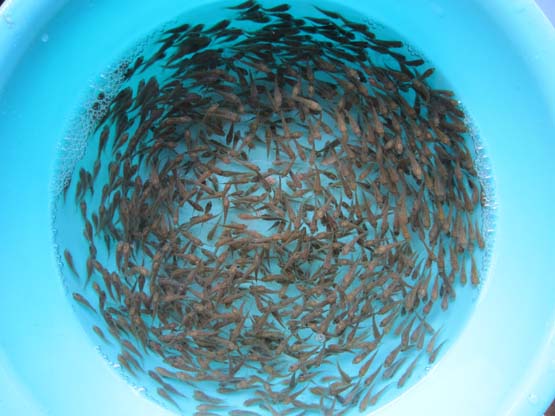 aio_gallery_image_aio-widget-aio_gallery_image-3110004-template