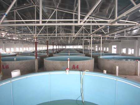 aio_gallery_image_aio-widget-aio_gallery_image-3110004-template