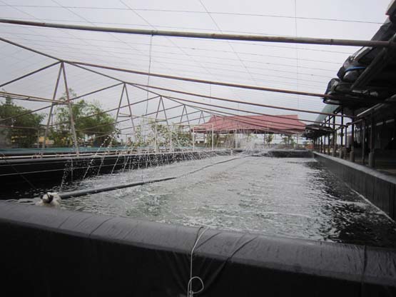 aio_gallery_image_aio-widget-aio_gallery_image-3110004-template