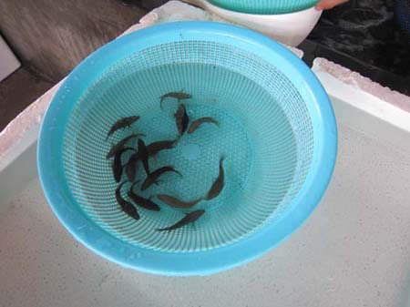 aio_gallery_image_aio-widget-aio_gallery_image-3110004-template