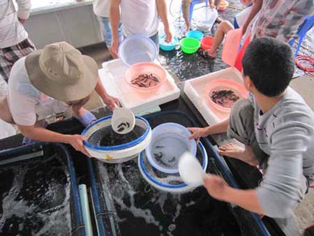 aio_gallery_image_aio-widget-aio_gallery_image-3110004-template