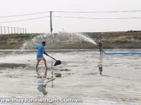 Giải pháp quản lý chất thải ao nuôi thủy sản