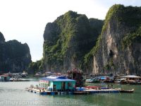 Quảng Ninh: Chấm dứt nuôi thủy sản trong vịnh Hạ Long