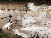 Hội nghị phòng, chống dịch bệnh thủy sản năm 2021 khu vực phía Bắc