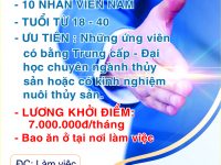 Thông tin tuyển dụng.