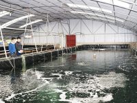 Quảng Ninh giữ “Rừng vàng biển bạc” – trích nguồn báo Quảng Ninh