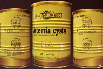 Thức ăn cho tôm cá.